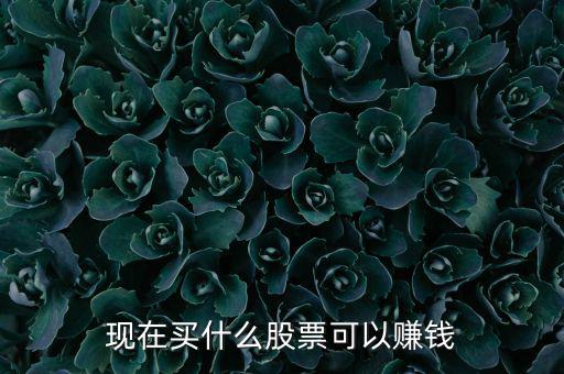 今年買什么股票可以賺錢，現(xiàn)在買什么股票可以賺錢