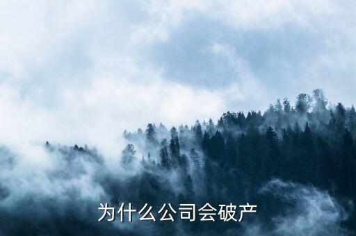 凱銀集團(tuán)為什么破產(chǎn)了，公司破產(chǎn)的原因是什么