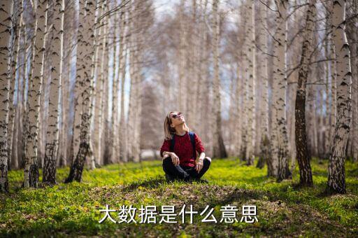 大數(shù)據(jù)什么意思，簡(jiǎn)述什么是大數(shù)據(jù)