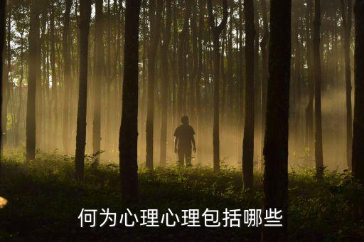 什么是心理層面，人的心理境界分幾個(gè)層次