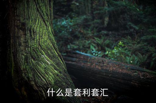 外匯套利是什么意思，什么是外匯期貨套利交易