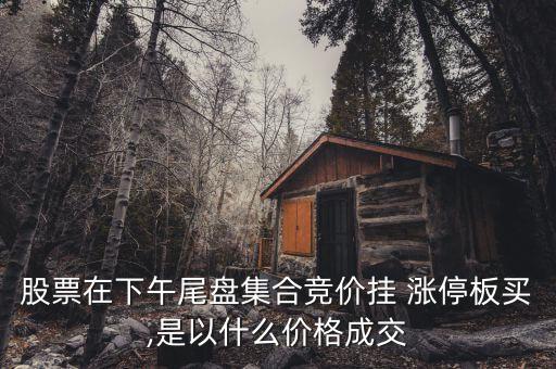 股票在下午尾盤(pán)集合競(jìng)價(jià)掛 漲停板買(mǎi),是以什么價(jià)格成交