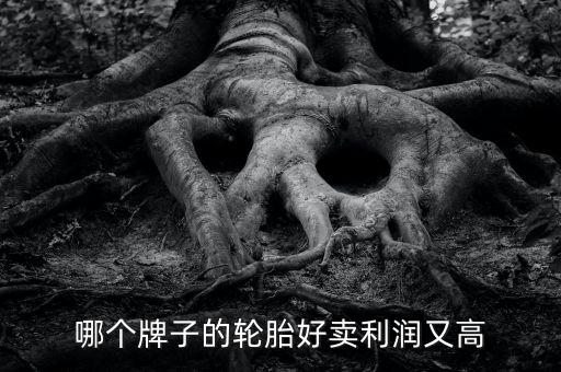 什么輪胎利潤(rùn)大，哪個(gè)牌子的輪胎好賣(mài)利潤(rùn)又高