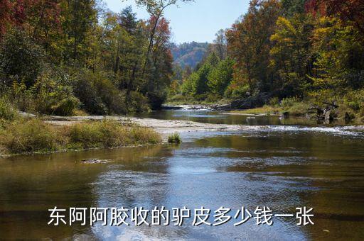 東阿阿膠股2012年是什么價位，誰知道山東東阿阿膠股份有限公司生產的補血膏多少錢一平300克的