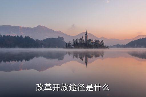 什么是改革路徑，深化我國政府機(jī)構(gòu)改革的具體途徑有哪些