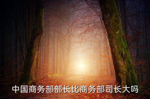 商務(wù)部部長(zhǎng)什么級(jí)別，商務(wù)部部長(zhǎng)多大的官