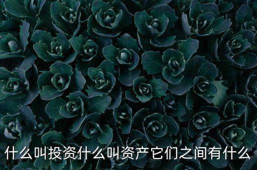 什么叫可投資資產(chǎn)，什么叫個人可投資資產(chǎn)懂的答有分送呦