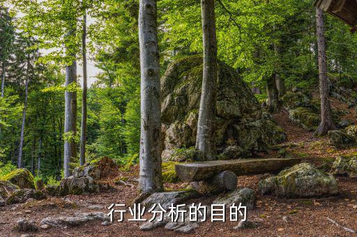 為什么要進(jìn)行行業(yè)分析，為什么要進(jìn)行市場(chǎng)分析