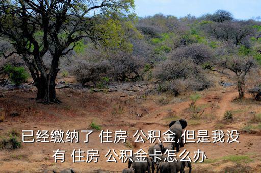 已經繳納了 住房 公積金,但是我沒有 住房 公積金卡怎么辦