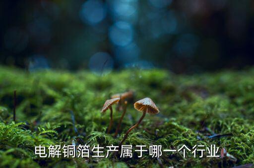 電子銅箔屬于什么行業(yè)，電解銅箔生產屬于哪一個行業(yè)
