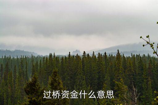什么叫過橋資金，什么叫做過橋資金