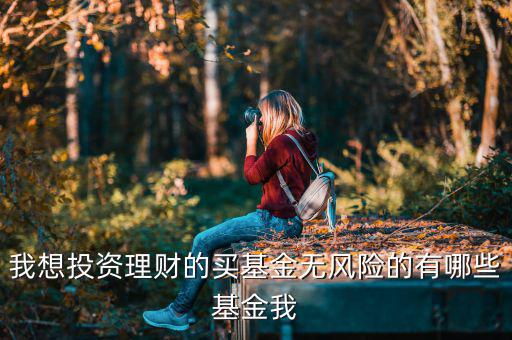買什么基金是沒有風險，什么樣的基金沒有太大的風險