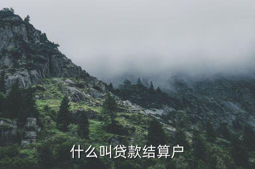 什么是有貸戶，什么叫居民戶貸款