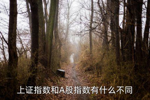 上證指數(shù)和A股什么區(qū)別，上證指數(shù)和A股指數(shù)有什么不同