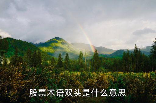 什么是大盤做雙頭，股票術(shù)語雙頭是什么意思