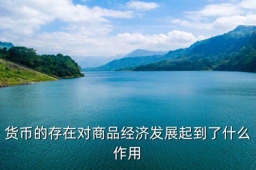 世界貨幣中心起到什么作用，貨幣的存在對(duì)商品經(jīng)濟(jì)發(fā)展起到了什么作用