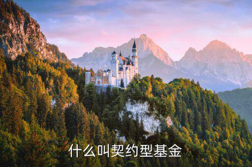 什么是合同型基金，什么叫契約型基金