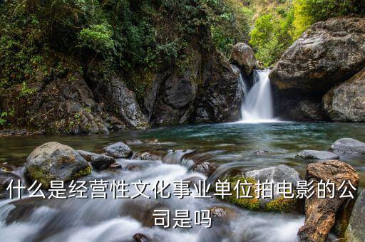 什么是經(jīng)營(yíng)性事業(yè)單位，哪些屬于經(jīng)營(yíng)性文化事業(yè)單位