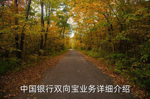 中行雙向?qū)毷鞘裁?，中國銀行雙向?qū)殬I(yè)務(wù)詳細介紹