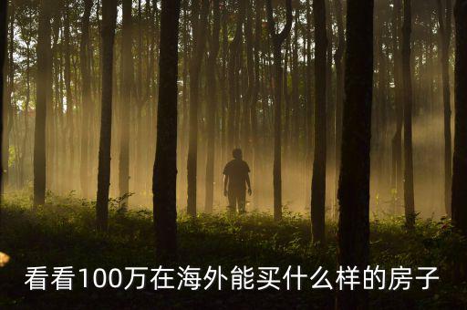 100萬在國外能買什么，看看100萬在海外能買什么樣的房子