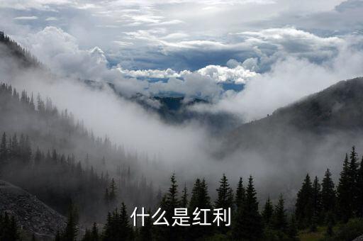 什么是全球化紅利，紅利是指什么意思