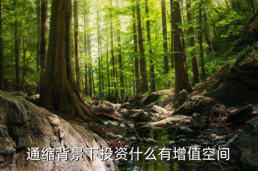 通縮情況下什么能保值，通貨膨脹的情況下那類股票可以隨之保值