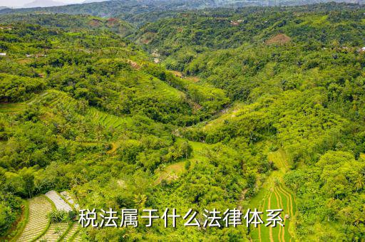 企業(yè)所得稅法屬于什么法，企業(yè)所得稅法是怎樣的