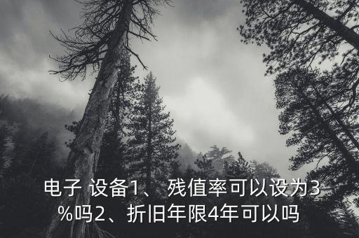  電子 設(shè)備1、 殘值率可以設(shè)為3%嗎2、折舊年限4年可以嗎