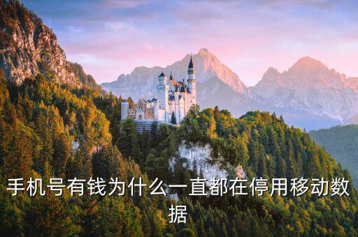 鏈動(dòng)數(shù)據(jù)為什么有錢，廣東鏈動(dòng)為什么那么多人認(rèn)同和喜歡