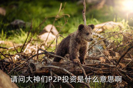 什么是p2p投資，請(qǐng)問(wèn)大神們P2P投資是什么意思啊