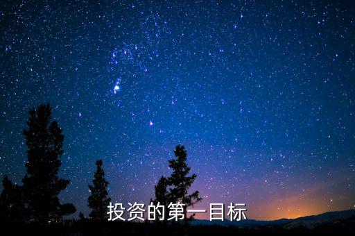 投資目標是什么，企業(yè)投資戰(zhàn)略收益性目標有哪些