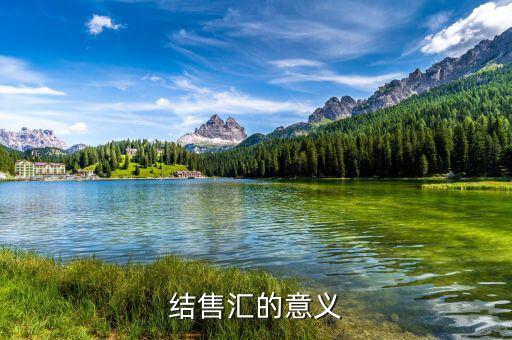 為什么外匯結匯，結售匯的意義