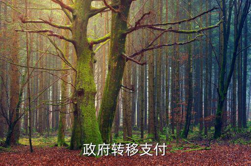 為什么政府提供實物轉(zhuǎn)移支付，一個國家為什么要執(zhí)行轉(zhuǎn)移支付制度