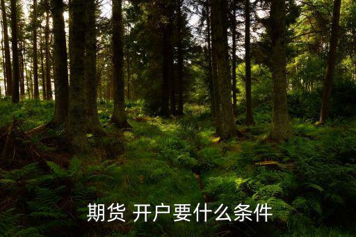  期貨 開(kāi)戶(hù)要什么條件