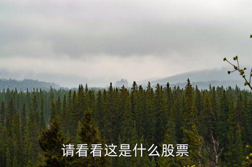 993961是什么股票，請(qǐng)看看這是什么股票