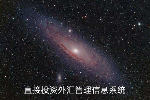 外資上什么傳到外管局應(yīng)用平臺(tái)，直接投資外匯管理信息系統(tǒng)