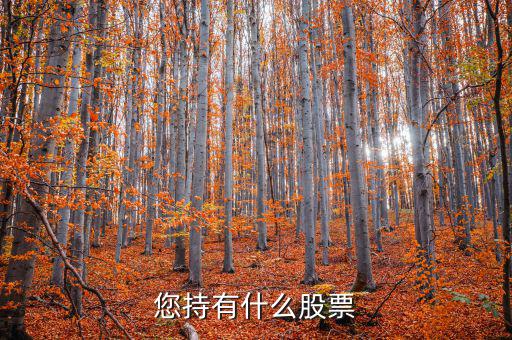 張正委持有什么的股票，香港中央代理人持有哪些股票