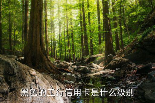 工商銀行的黑卡有什么權限，工行是不是出了一款運通黑卡啊我想問的是想申請運通黑卡要在當?shù)?/></a></span><span id=