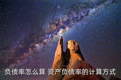 負債率怎么算 資產負債率的計算方式