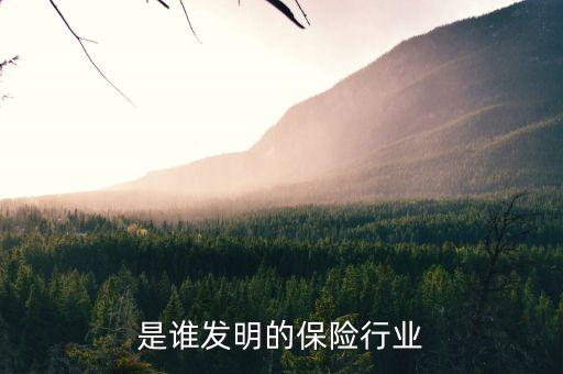 世界上第一家保險(xiǎn)公司是什么，哪位朋友可以說一下世界保險(xiǎn)發(fā)展史