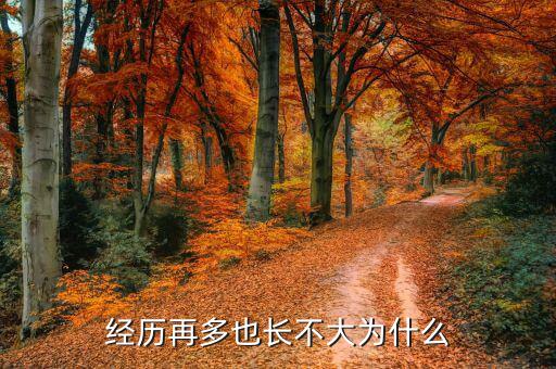 長不大的人為什么事業(yè)還能成功，失去二十幾歲的時(shí)間男人還能在事業(yè)上成功嗎