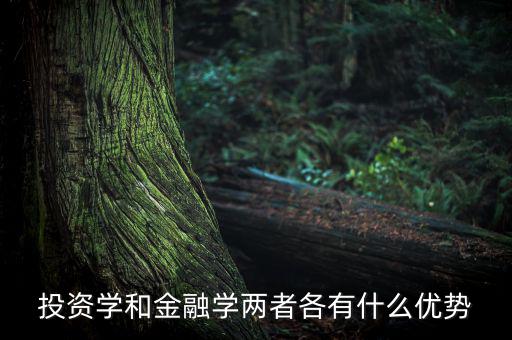 投資學(xué)有什么用，投資學(xué)和稅務(wù)學(xué)專業(yè)各自具體是學(xué)什么的以后就業(yè)前景及方