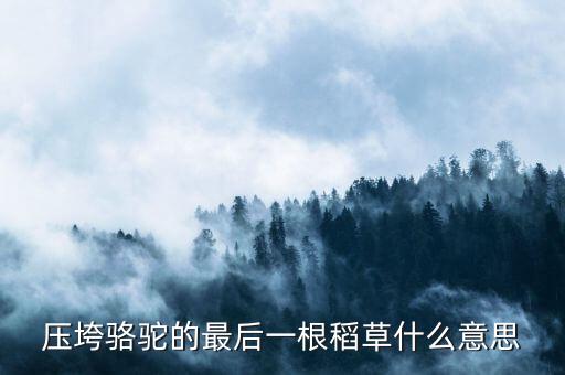 壓垮駱駝的最后一根稻草什么意思，壓死駱駝的最后一根稻草意味著什么