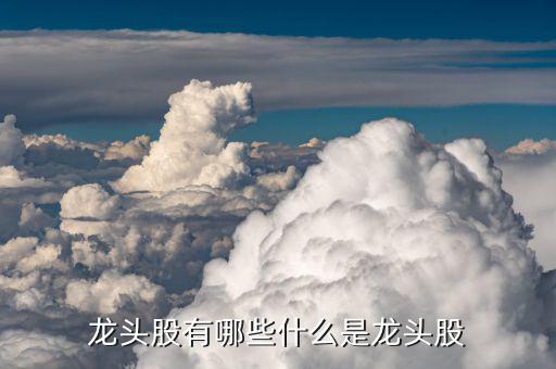 金馬股份怎么樣,部分熱門板塊的龍頭股介紹:比亞迪、金馬股份