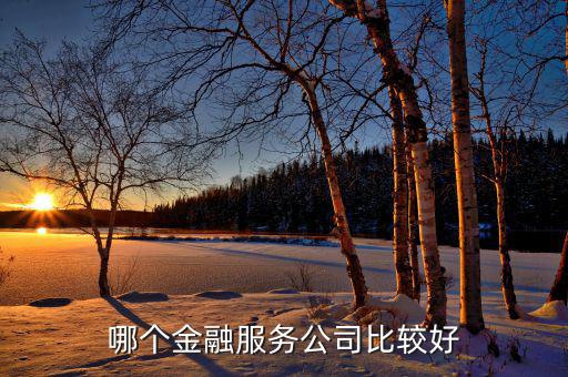 綜合性金融服務機構是什么，安邦保險是綜合性的金融公司嗎它主要經(jīng)營哪些業(yè)務