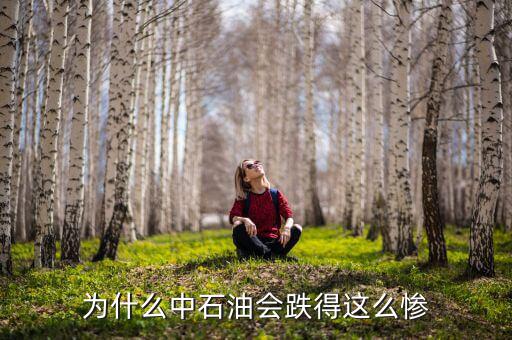 中石油上市為什么狂跌，為什么中石油會跌得這么慘