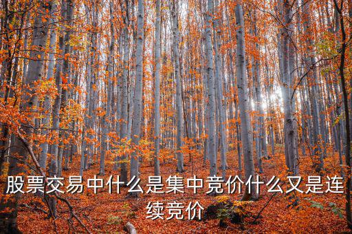 集合競價是什么意思，股票交易中什么是集中競價什么又是連續(xù)競價