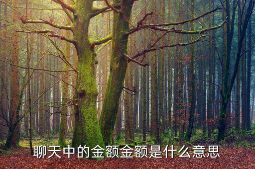 金額是什么意思，什么叫金額