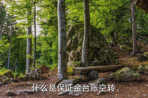 什么是資金空轉(zhuǎn)，資金沖轉(zhuǎn)的含義是什么名詞解釋