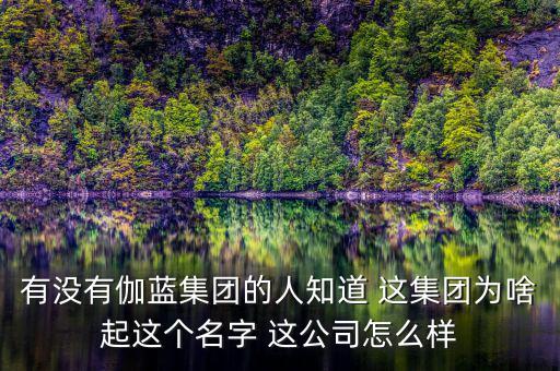 伽藍(lán)集團(tuán)為什么不上市，伽藍(lán)集團(tuán)是一家什么企業(yè)